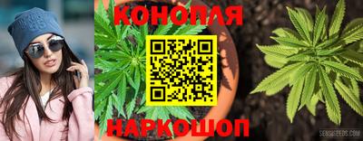 mdpv Будённовск