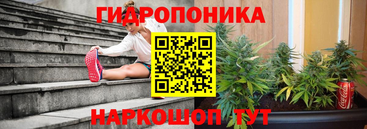 Петропавловск-Камчатский  Бошки марихуана AK-47  Вход с VPN  Марихуана Bruce Banner  Шишки марихуана тримм 